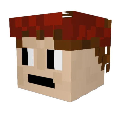 EnderDoggo321 Minecraft avatar head, 3D render