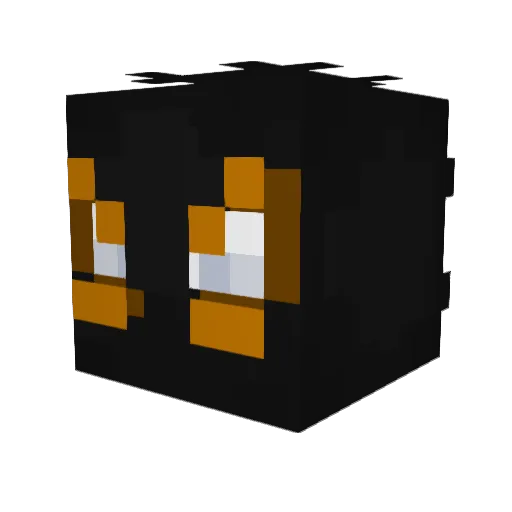 EnderDrag27 Minecraft avatar head, 3D render
