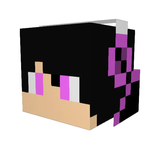 EnderDragonVN03 Minecraft avatar head, 3D render