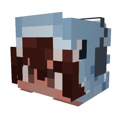 EnderDude773 Minecraft avatar head, 3D render