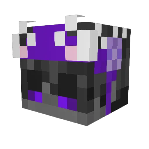 EnderExplorer1_0 Minecraft avatar head, 3D render