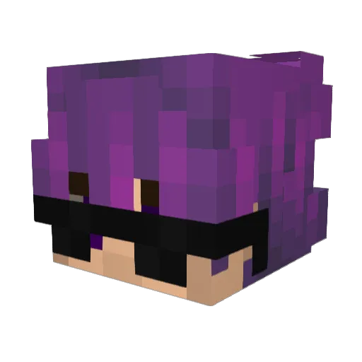 EnderFede_ Minecraft avatar head, 3D render