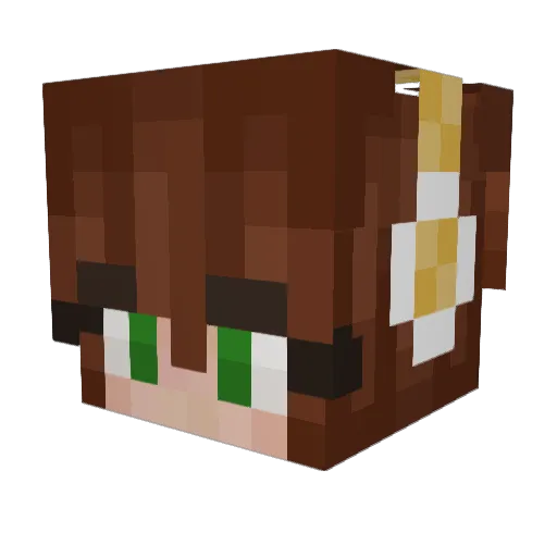 EnderFlowers Minecraft avatar head, 3D render