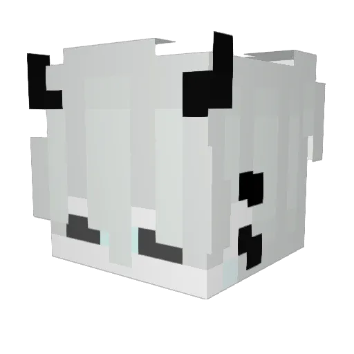 EnderFog26 Minecraft avatar head, 3D render
