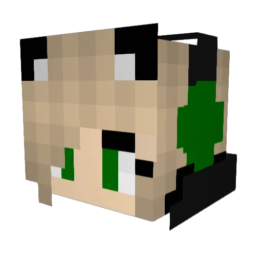 EnderFoxy14 Minecraft avatar head, 3D render