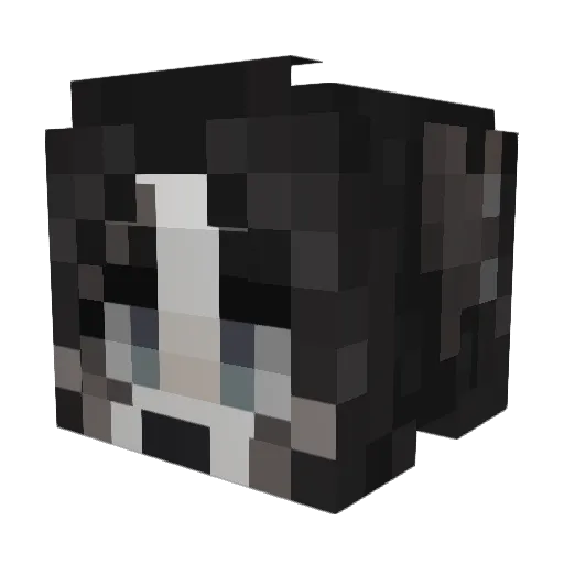 EnderGloom Minecraft avatar head, 3D render