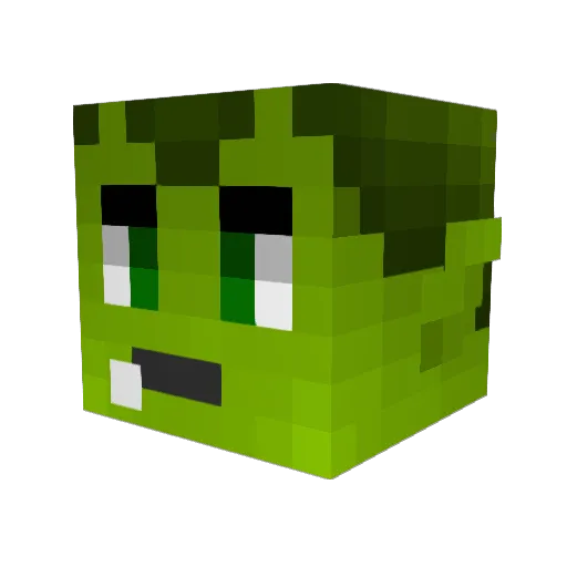 EnderHunter420 Minecraft avatar head, 3D render