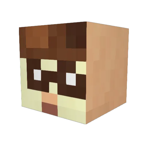EnderKnight670 Minecraft avatar head, 3D render