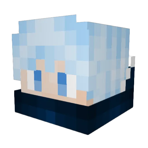 EnderLeon1611 Minecraft avatar head, 3D render