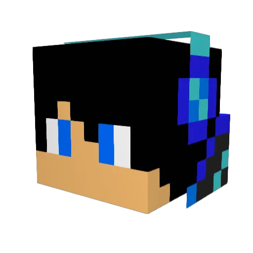 EnderLord956 Minecraft avatar head, 3D render
