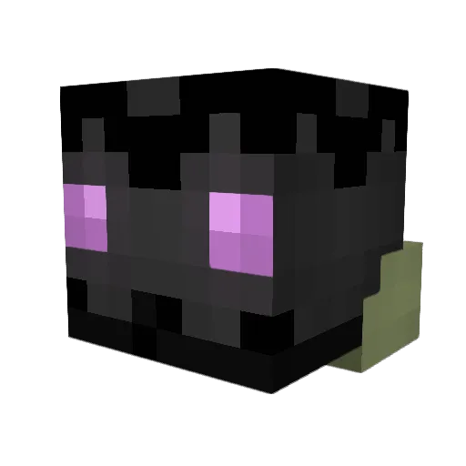 EnderMan873 Minecraft avatar head, 3D render