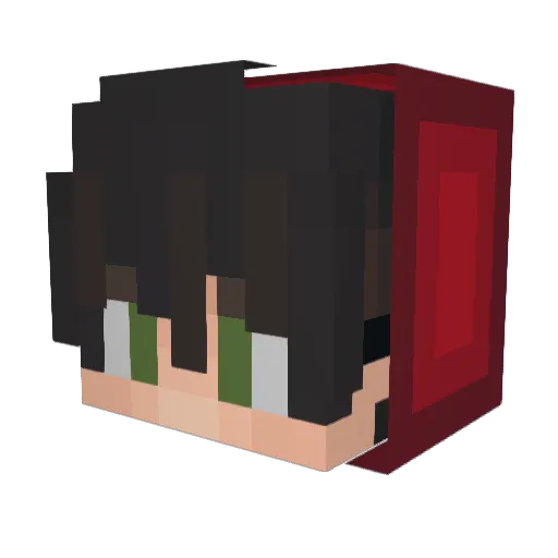 EnderMarkk_ Minecraft avatar head, 3D render
