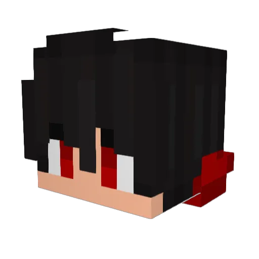 EnderMaster0824 Minecraft avatar head, 3D render