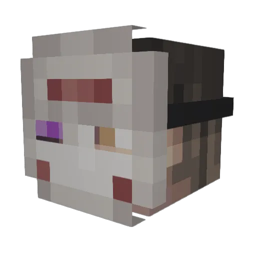 EnderMelonFTW Minecraft avatar head, 3D render