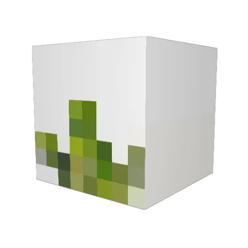 EnderN8J Minecraft avatar head, 3D render