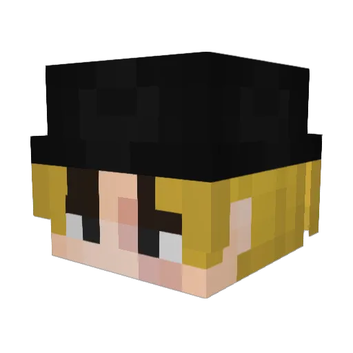 EnderNate_537 Minecraft avatar head, 3D render