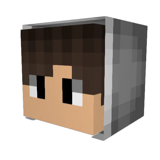EnderNinja34 Minecraft avatar head, 3D render