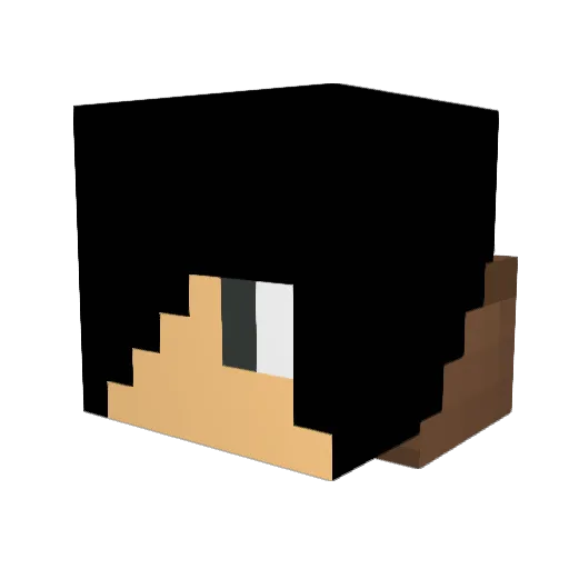 EnderNinjaRS Minecraft avatar head, 3D render