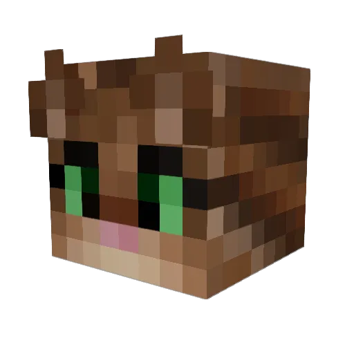 EnderPaws24 Minecraft avatar head, 3D render