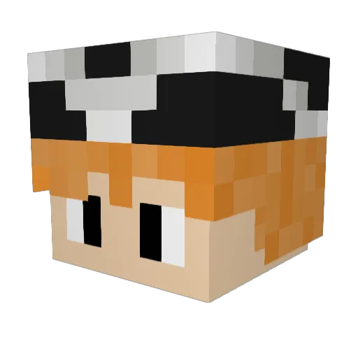 EnderPig10000 Minecraft avatar head, 3D render
