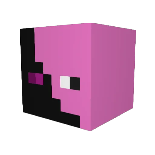 EnderPig1220 Minecraft avatar head, 3D render