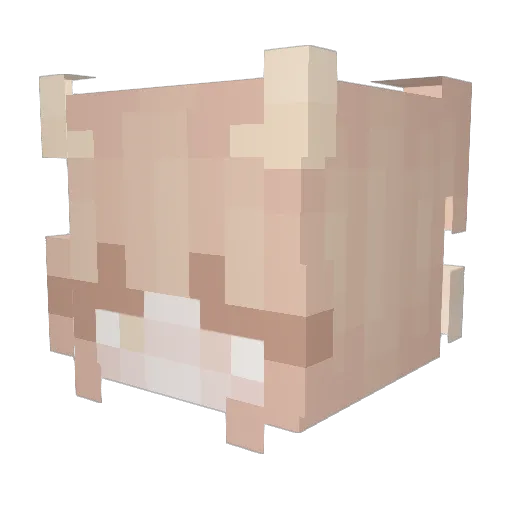 EnderPiglet42 Minecraft avatar head, 3D render