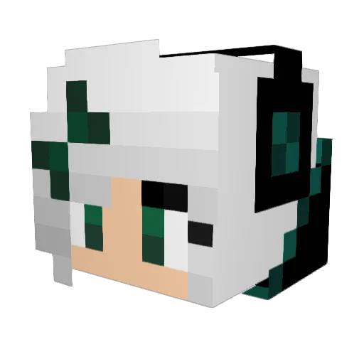 EnderPlayer_HD Minecraft avatar head, 3D render