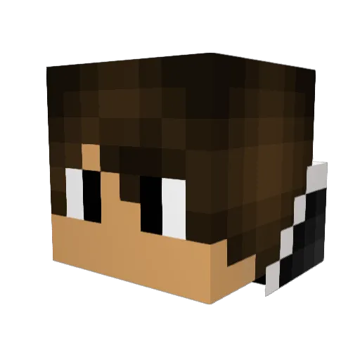 EnderPro1000 Minecraft avatar head, 3D render
