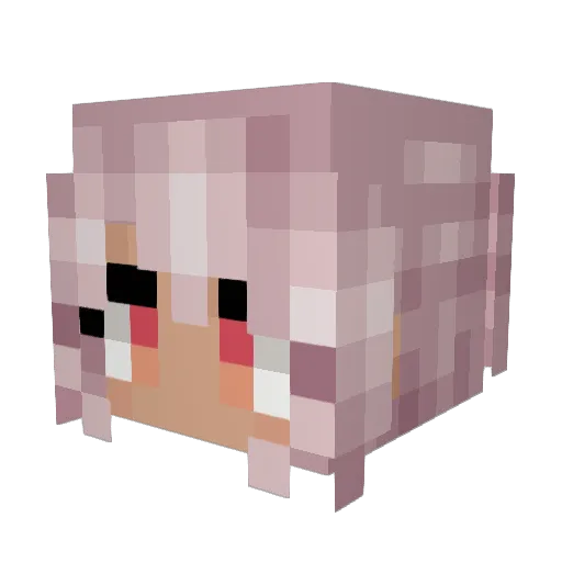 EnderPro1 Minecraft avatar head, 3D render