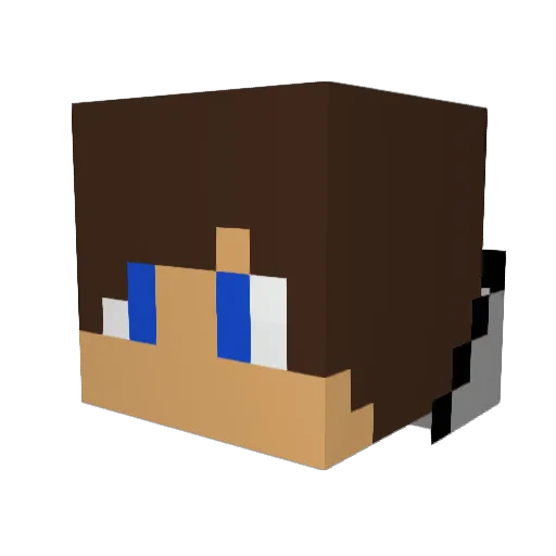 EnderRemix Minecraft avatar head, 3D render