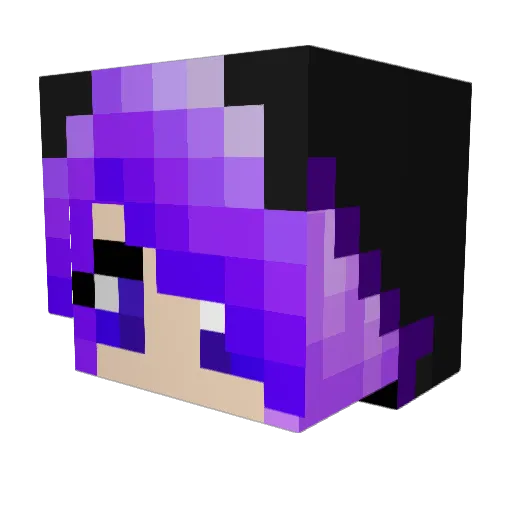 EnderShadow42 Minecraft avatar head, 3D render