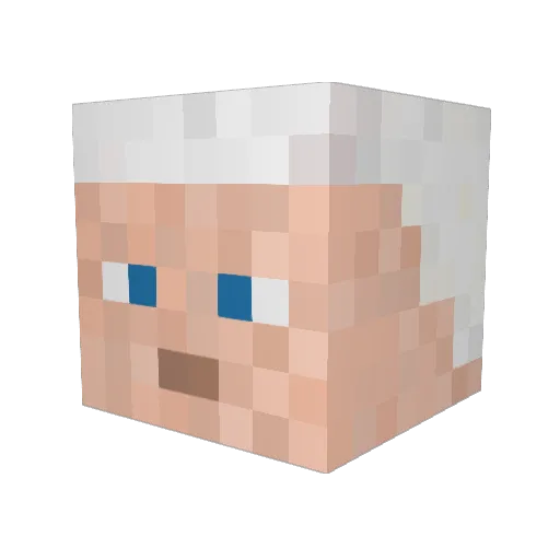 EnderSlayer7491 Minecraft avatar head, 3D render