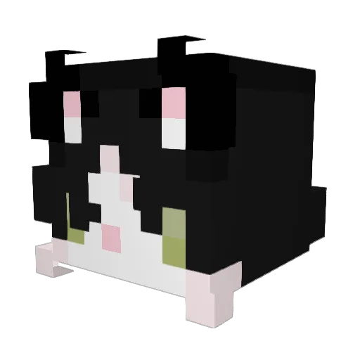 EnderSlayer_V2 Minecraft avatar head, 3D render
