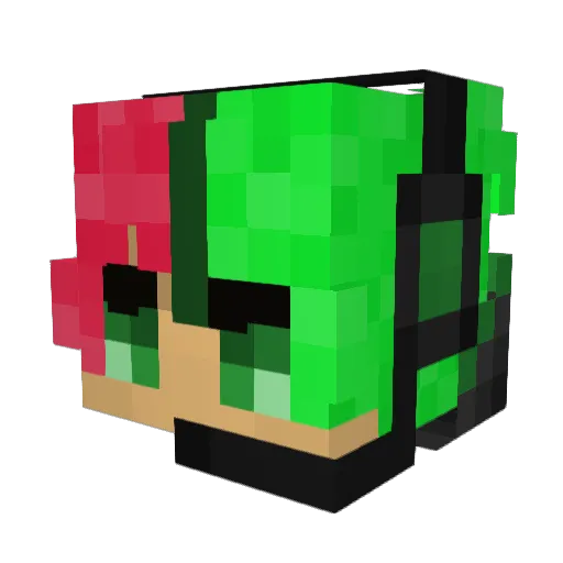 EnderSquid95 Minecraft avatar head, 3D render