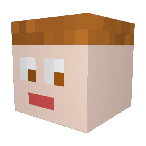 EnderSquid99 Minecraft avatar head, 3D render