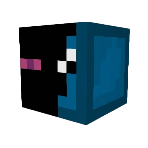 EnderSquidRules Minecraft avatar head, 3D render
