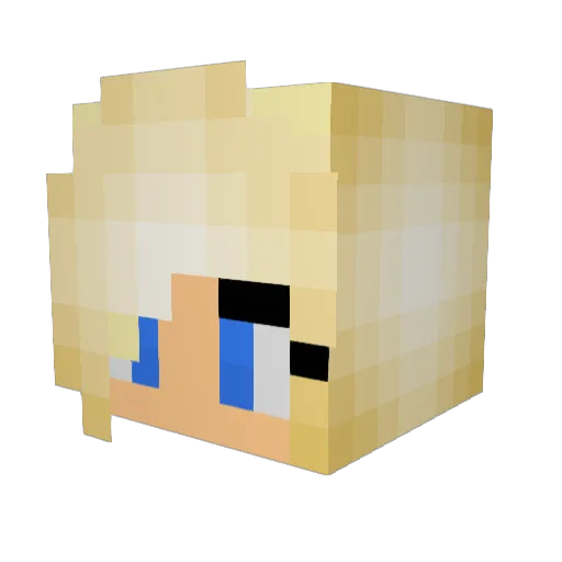 EnderStar205 Minecraft avatar head, 3D render