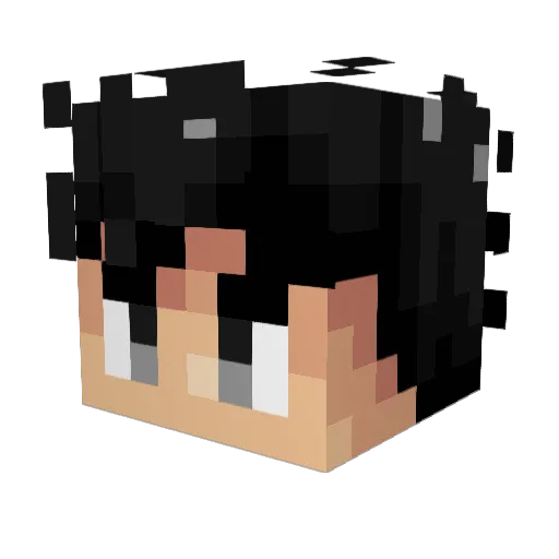 EnderTaco11 Minecraft avatar head, 3D render