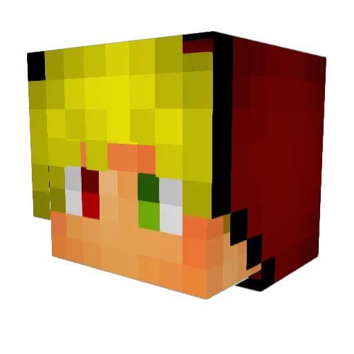 EnderTas1 Minecraft avatar head, 3D render