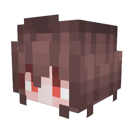 EnderTime133 Minecraft avatar head, 3D render