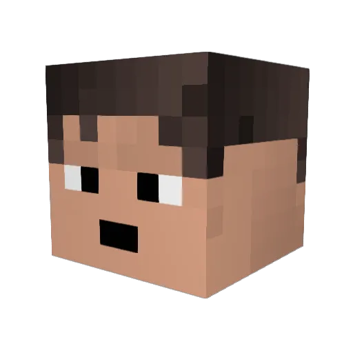EnderVenom88 Minecraft avatar head, 3D render
