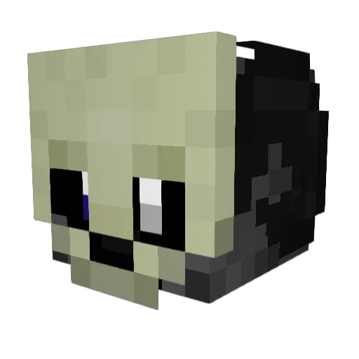 EnderWolf182 Minecraft avatar head, 3D render