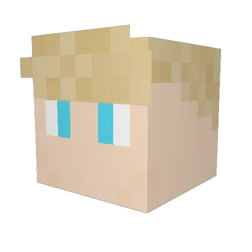 Ender_22x Minecraft avatar head, 3D render