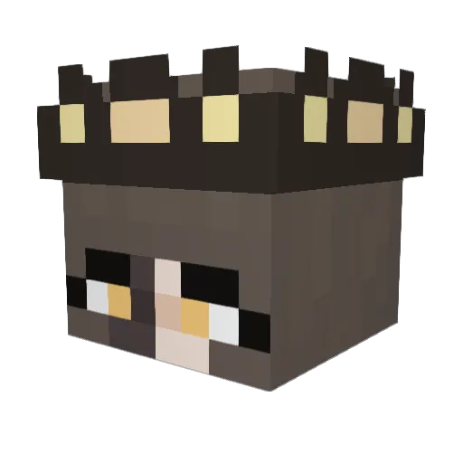 Ender_Beez Minecraft avatar head, 3D render