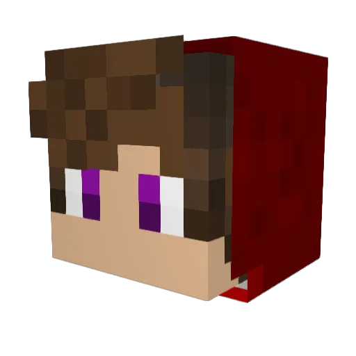 Ender_Bro_ Minecraft avatar head, 3D render