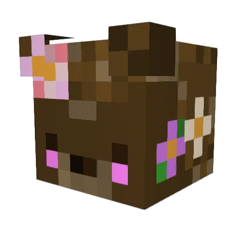 Ender_Chicken08 Minecraft avatar head, 3D render