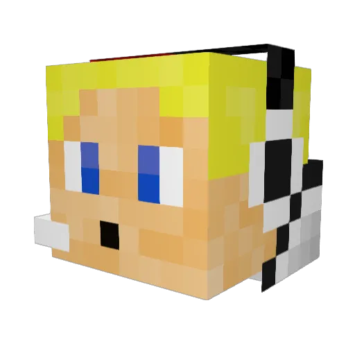 Ender_Craft Minecraft avatar head, 3D render