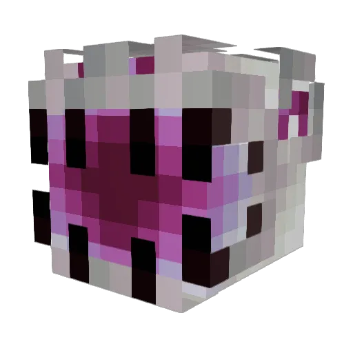 Ender_Dragon9002 Minecraft avatar head, 3D render