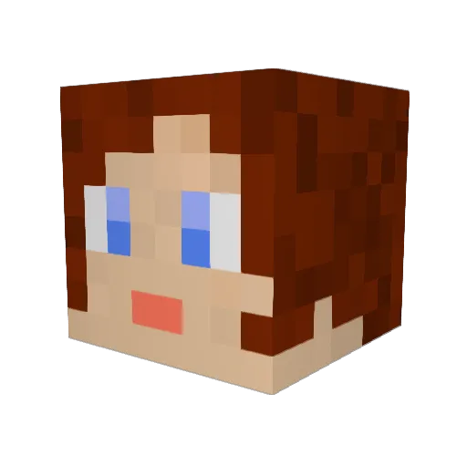 Ender_Echo Minecraft avatar head, 3D render