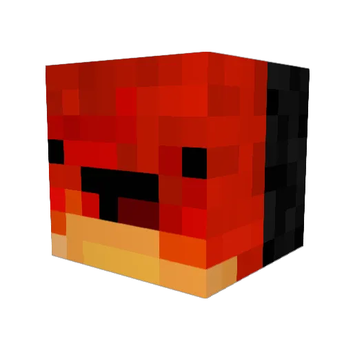 Ender_Eye4100 Minecraft avatar head, 3D render